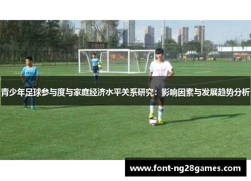 青少年足球参与度与家庭经济水平关系研究：影响因素与发展趋势分析