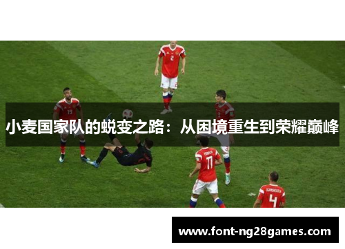 小麦国家队的蜕变之路：从困境重生到荣耀巅峰